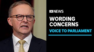 Albanese accuses Dutton of playing games on Voice referendum | ABC News