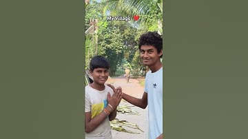 #tutorialfilter #shortvideo #shortsfeed