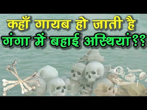 वीडियो: पौराणिक फीनिक्स कहाँ रहता है?