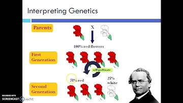 Non Mendelian Genetics Sub Video Part 1