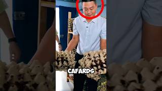 Ce Chinois Mange Des Cafards