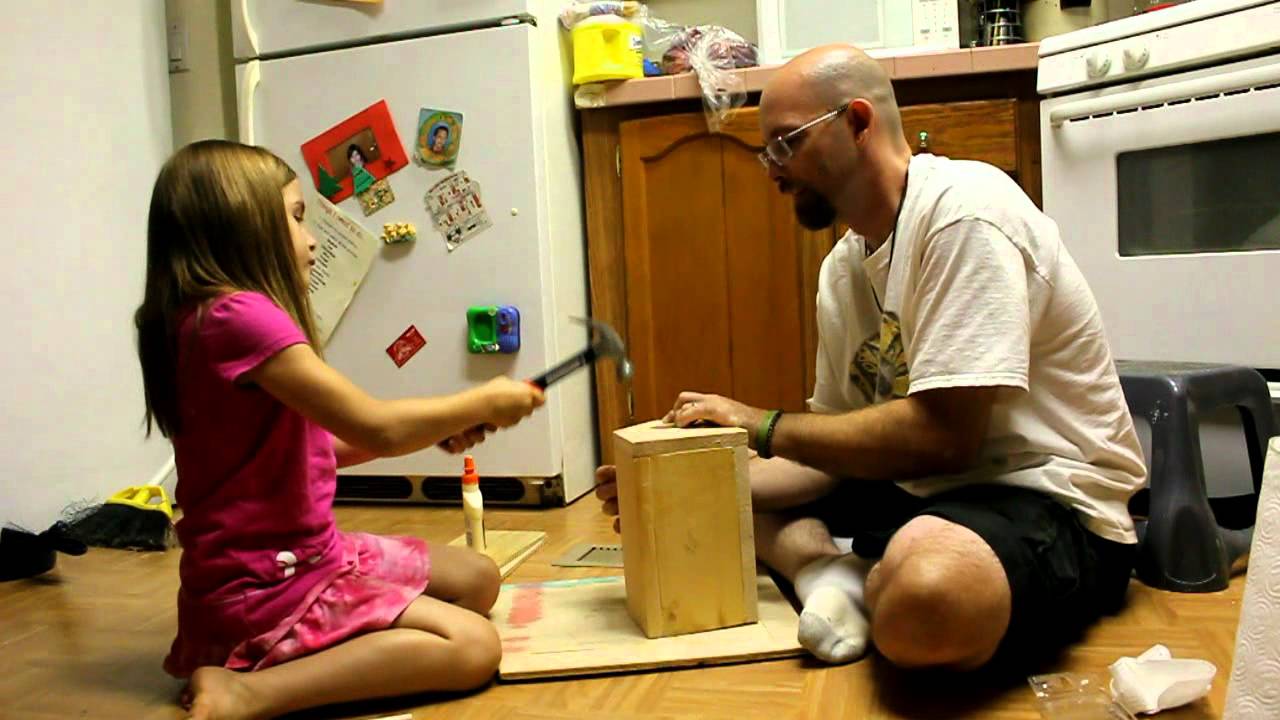 paint net Allies Animal Intel Building A Bird House