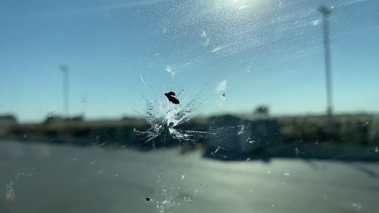 How to tell what flavour of bug hit your windshield YouTube