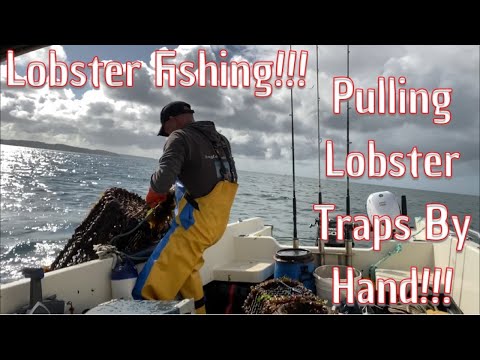 Lobster Fishing UK Pulling Lobster Traps By Hand