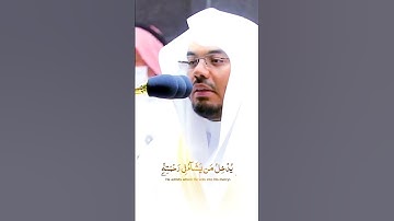 ياسر الدوسري سورة الإنسان يدخل من يشاء في رحمته والظالمين أعد لهم عذاب مهينا