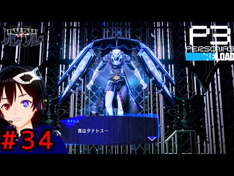 専用 タナトス サイン ペルソナ ヴァイスシュバルツ P3.ペルソナ3リロードSPサイン 主人公