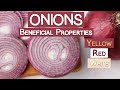 Onions and Their Beneficial Properties | Yellow, Red & White