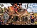 3 Extreme Dangerous Big Chainsaw Cutting Tree Machines & 5 Stump Removal Machines | Heavy Machinery