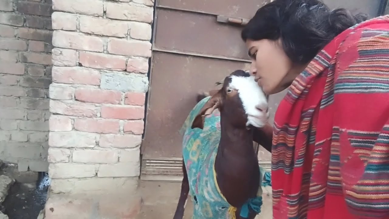 Munakka gate kholane❤️ Aya 