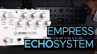 Empress Effects Echosystem Sound Demo (no talking) with synth / Modal Argon8