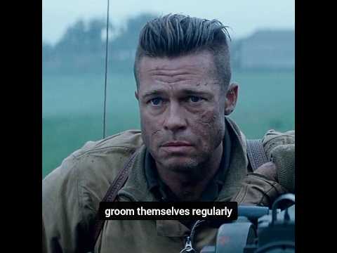 Haircuts and History: