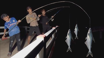 CÂU CÁ VÀO BAN ĐÊM VÀ CÁI KẾT | FISHING IN THE NIGHT