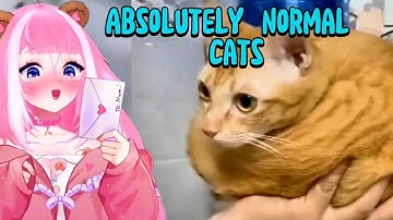 Shylily React To Absolutely normal cats by CAT BRAIN-exe