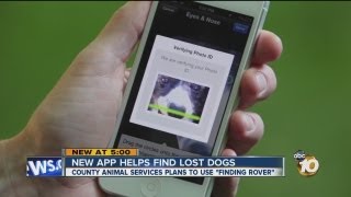 New facial recognition app Finding Rover helps find lost dogs screenshot 5