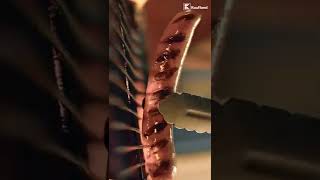 Искаш Барбекю? Получаваш Барбекю