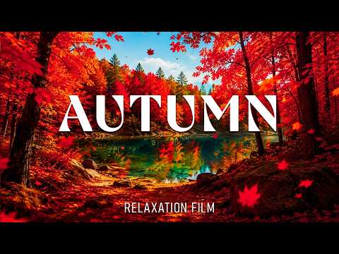 Amazon’s Most Beautiful Birds | Relaxing Piano, Birdsong & Wild Rainforest Nature