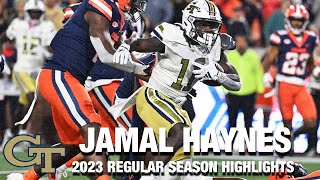 Jamal Haynes 2023 Regular Season Highlights | Georgia Tech RB