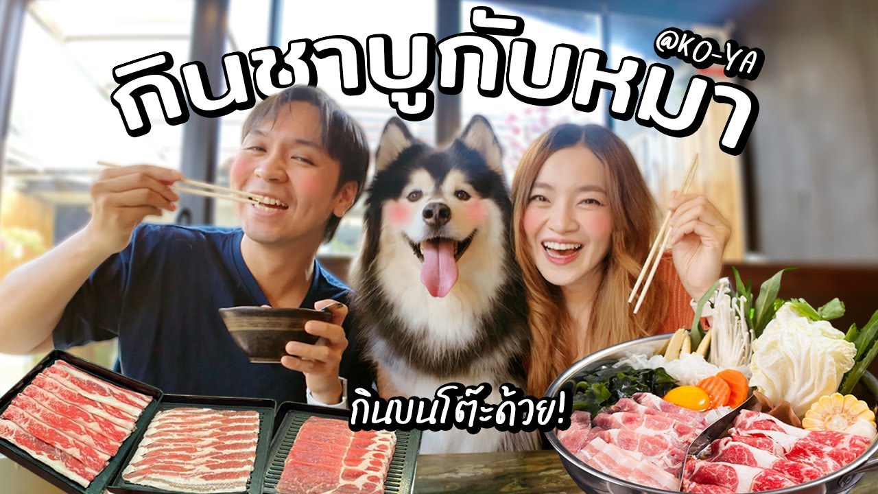 กินชาบูโต๊ะเดียวกับหมา จะรอดมั้ย? // พาน้องโฟร์เที่ยว (KO-YA Pet Friendly)