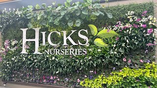 HICKS NURSERIES 🌸TOUR OF LONG ISLANDS LARGEST NURSERY🌳GRAND REOPENING SALE🤗ANNUAL FALL FESTIVAL🎃