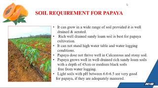 Papaya Fertigation Strategies screenshot 2