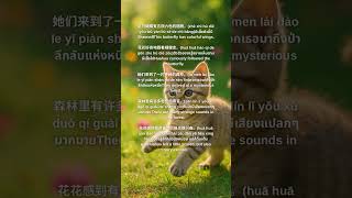 Chinese short story #learnchinese #imagine #poetry #zhongwen #readingskills #ภาษาจีน  #จีน