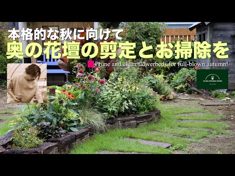 本格的な秋に向けて 奥の花壇の剪定とお掃除を!【秋のガーデニング】-フローラ黒田園芸- Autumn gardening/ガーデニング/園芸/庭/花壇 hqdefault