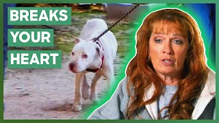 Tia's Heartbreaking Effort To Save A Dying Dog | Pit Bulls & Parolees