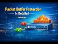 PCNSE Video 21 - Packet Buffer Protection In Palo Alto