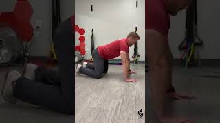 Quadruped Scapular CARs