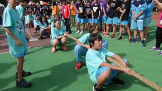 2016年11月19日尖山國中校慶，拔河決賽 #704 vs #705 第二場