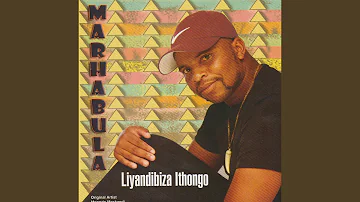 Liyandibiza Ithongo