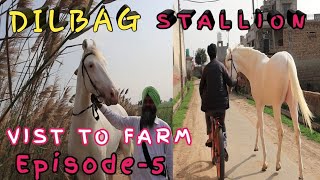 DILBAG STALLION | VIST TO FARM | EPISODE 5