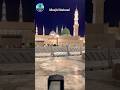 Masjid Nabawi The Prophet's Mosque #madinakareebse #viral #shorts #trending #youtubeshorts #masjid