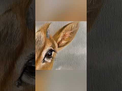 انت مكانك في وسط العيون نادر الشراري بدون موسيقى 