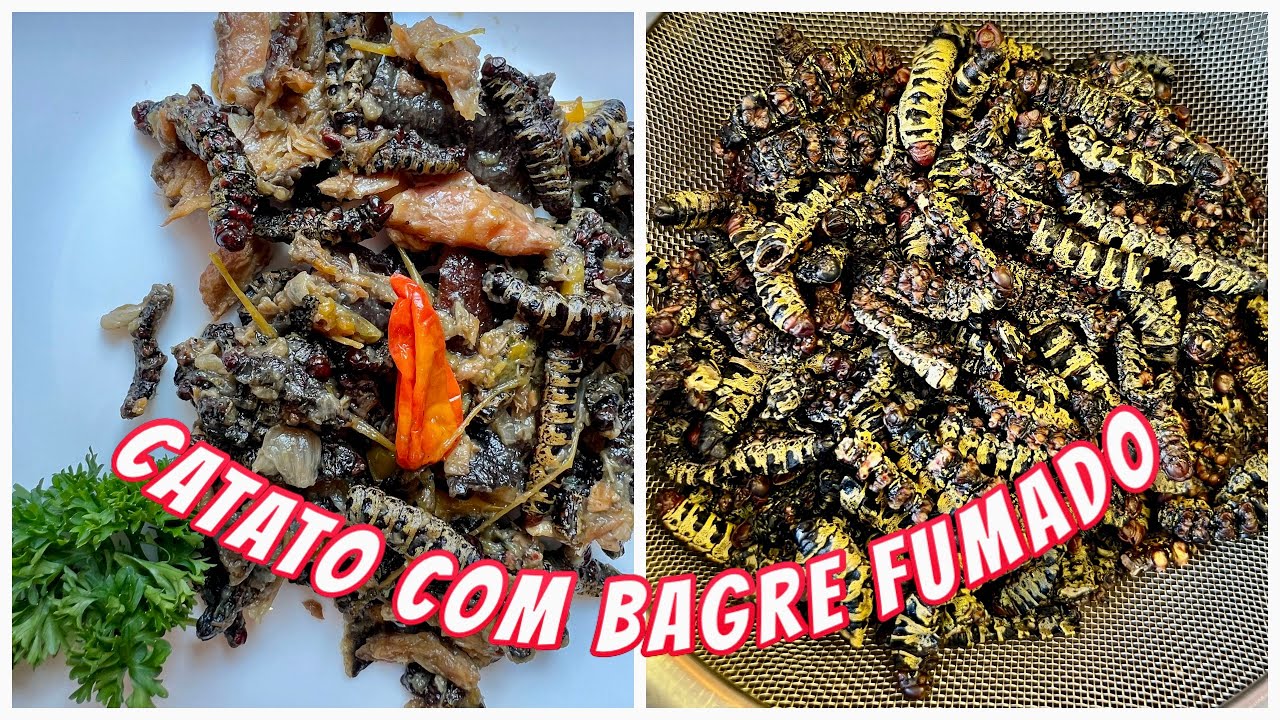Como fazer Catato com Bagre fumado | beringela |pimenta | gindungo | Angolano/Africano