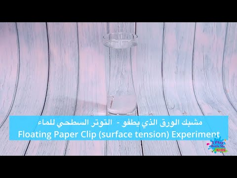 تجربة التوتر السطحي للماء The Floating PaperClip And Surface Tension