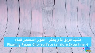 تجربة التوتر السطحي للماء - the floating paperClip and surface tension