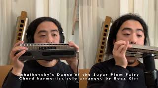 Christmas Harmonica: Tchaikovsky: Dance of the Sugar Plum Fairy - 48 Chord and Double Bass Harmonica