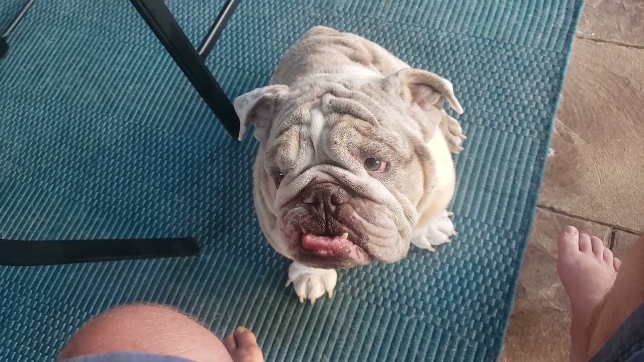 Extra Sharp Cheddar Cheese