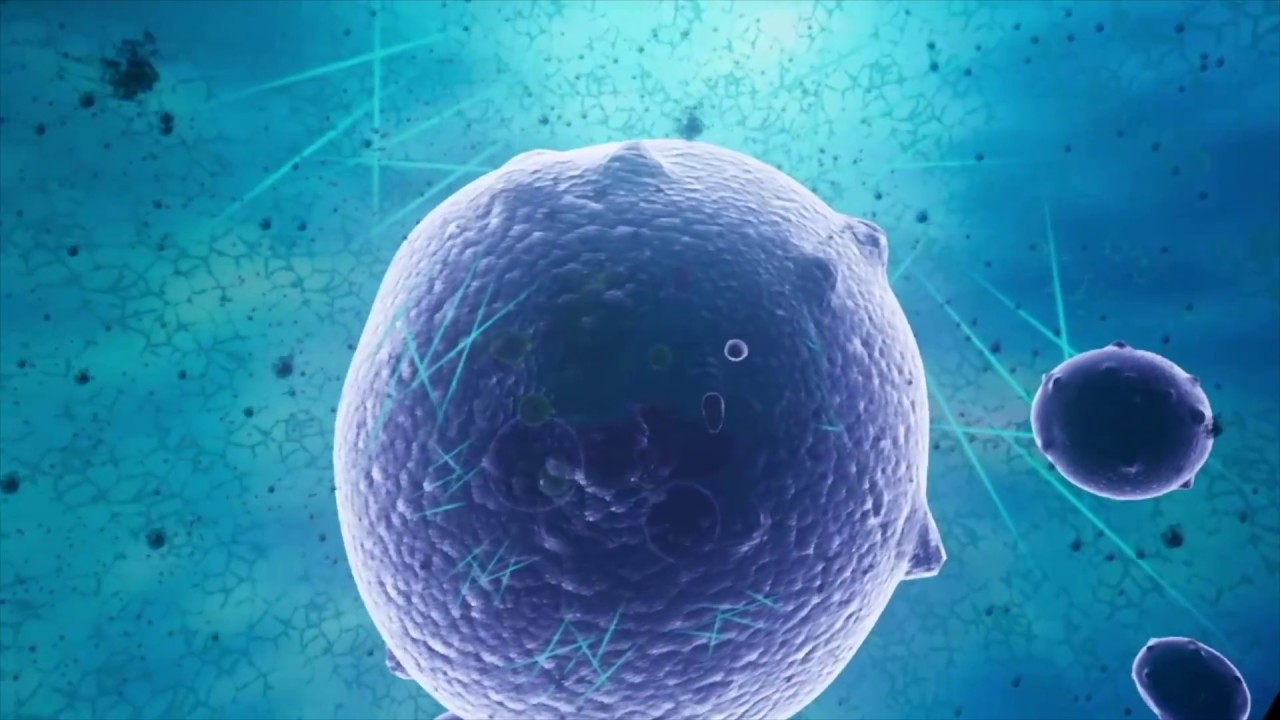 VR BIOLOGY Introduction to DNA TRAILER Powered by VR777 YouTube