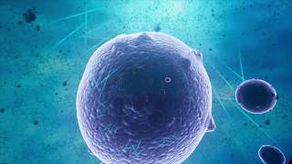 VR BIOLOGY: Introduction to DNA TRAILER - Powered by VR777