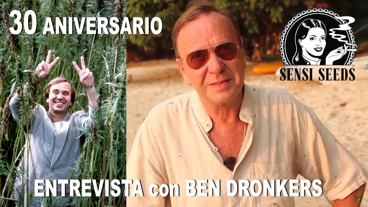 ENTREVISTA a BEN DRONKERS en Malasia: 30 años de SENSI SEEDS. Informe Drogas 29