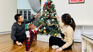 Monkey Bibi excitedly puts up a special Christmas tree