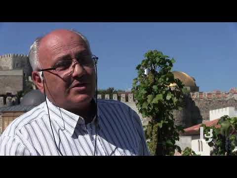 ვენახი ‘ახალციხის ციხეზე’