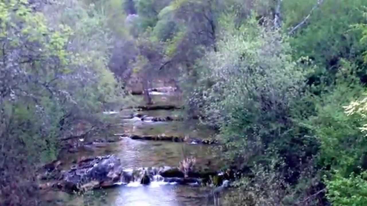 11+ Solan De Cabras Gif