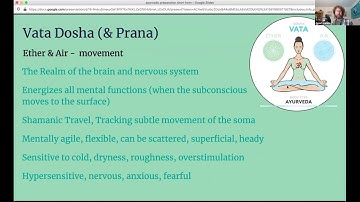 Ayurvedic Perspectives on Psychedelic Integration - Daniel Shankin at Psyched 2020 Conference