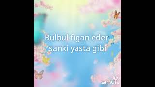 Gül Yüzlüm Gül Destim