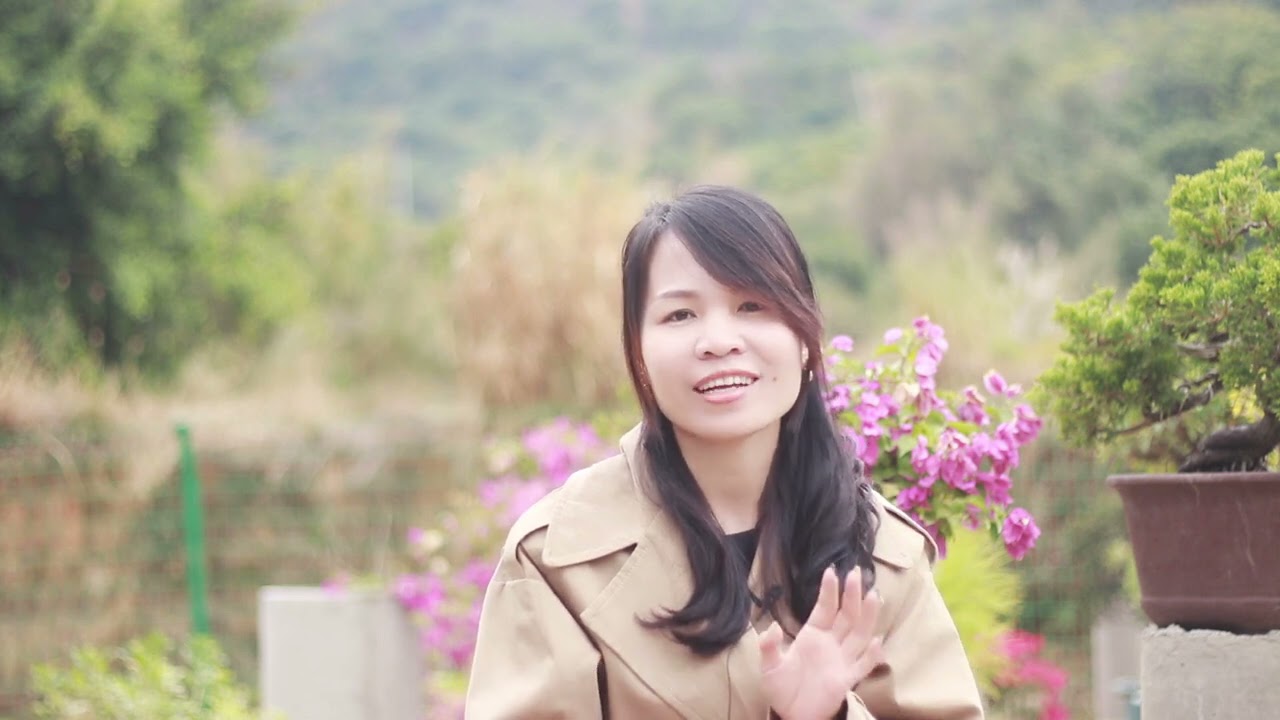 如何养好盆景？