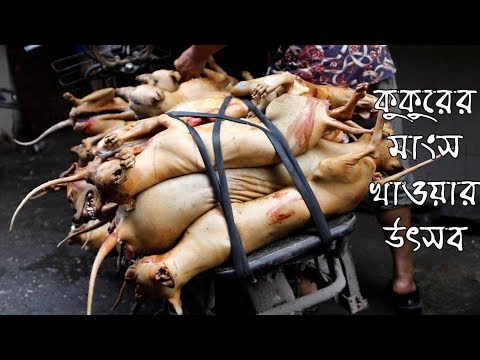 কুকুরের মাংস খাওয়ার উৎসব | Eating Dog Meat in China