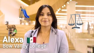 Alexa, Du Mexique Comment Mes Études Au Canada Mont Aidée À Devenir Assistante Juridique